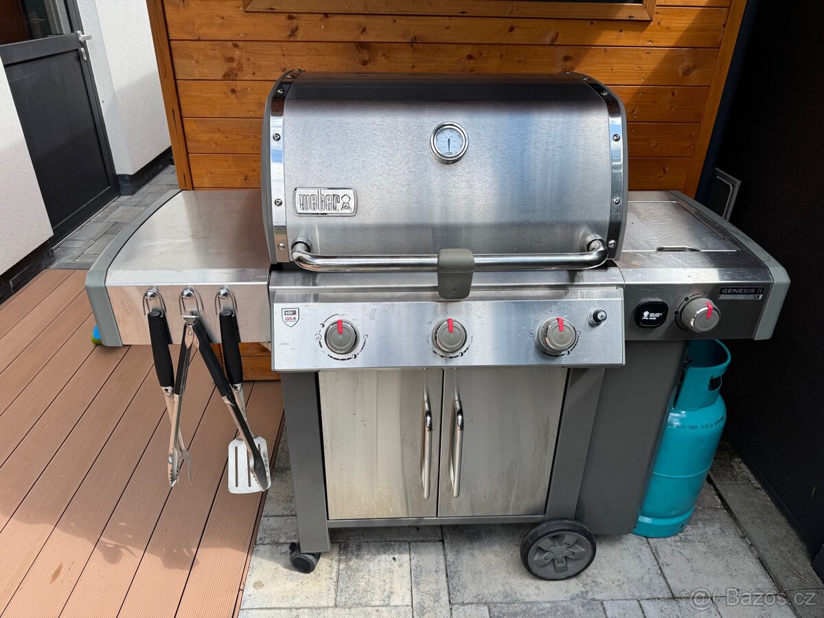 Gril Weber Genesis II