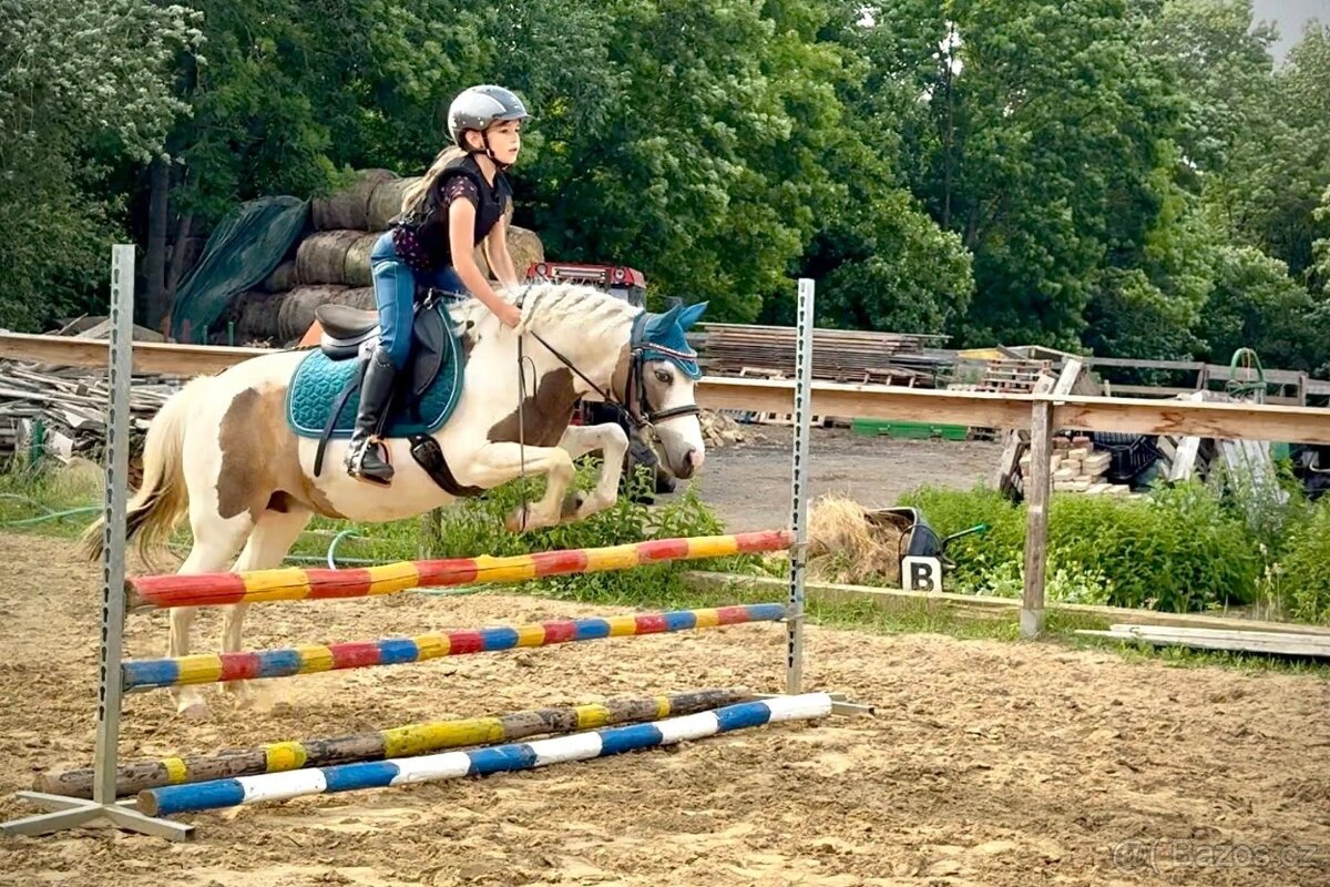Pony kobylka 121 cm