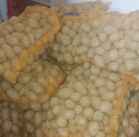 Brambory na uskladnění