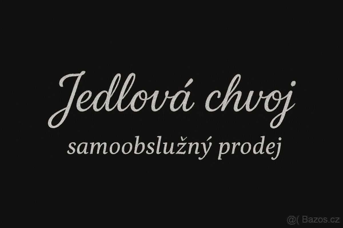 Jedlová chvoj / chvojí / klest