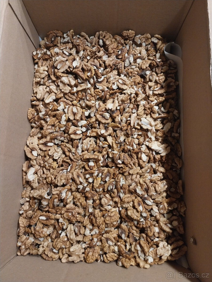 Vlašské ořechy 2025