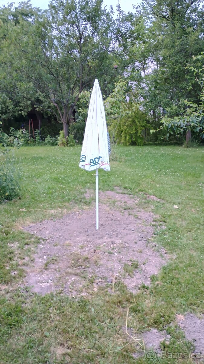 Slunečník