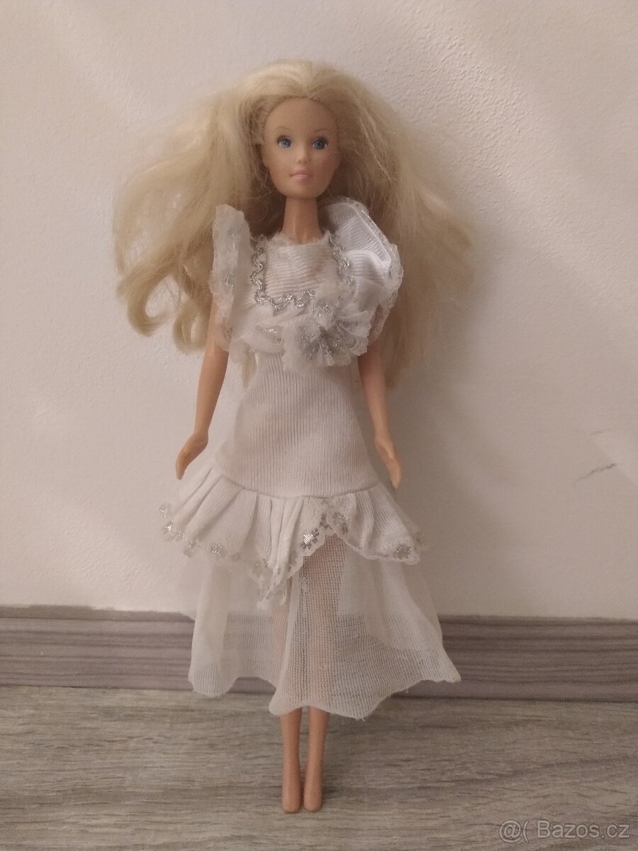 Barbie panenka a prislusenstvi