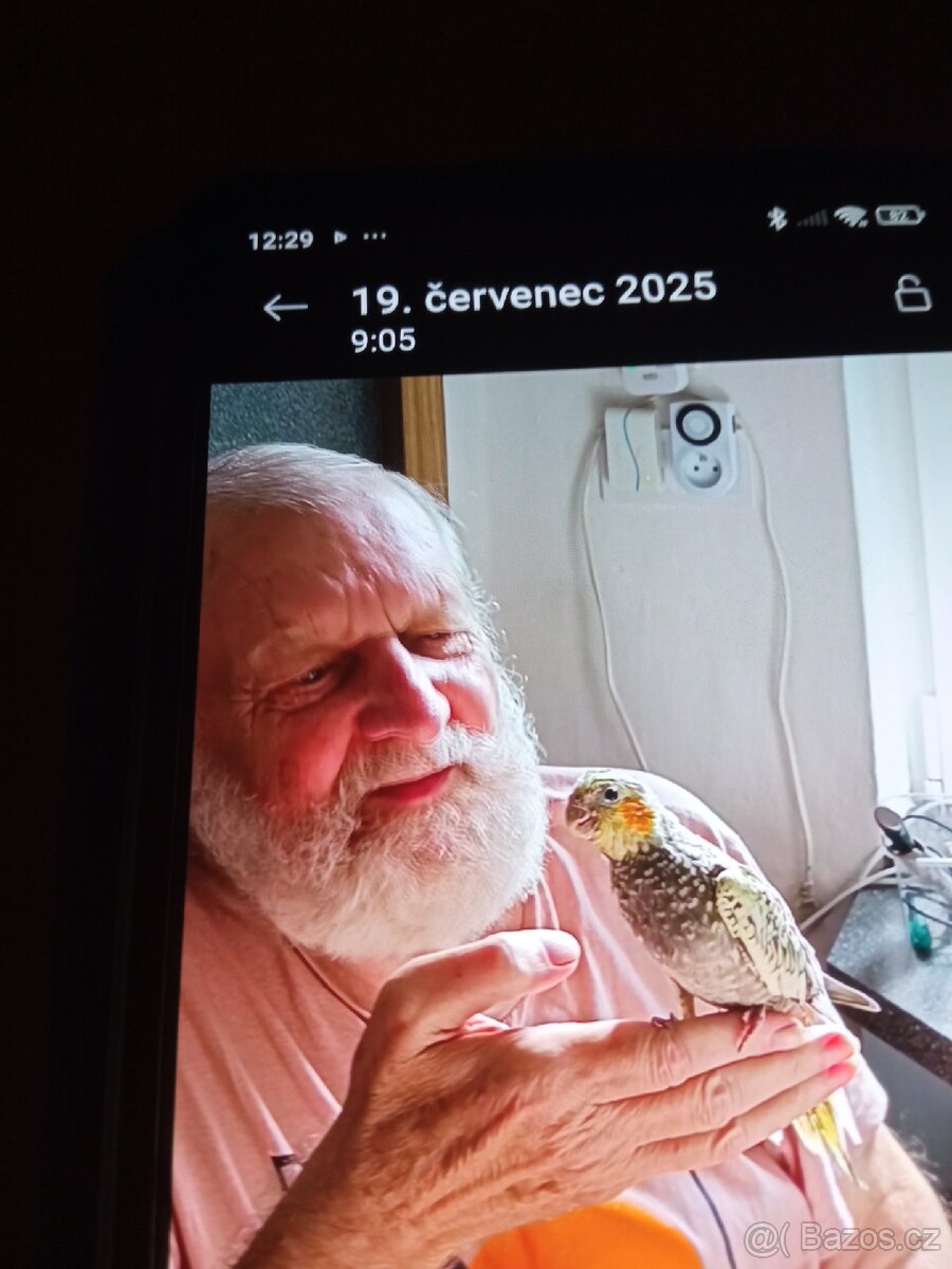 Prodám korelku