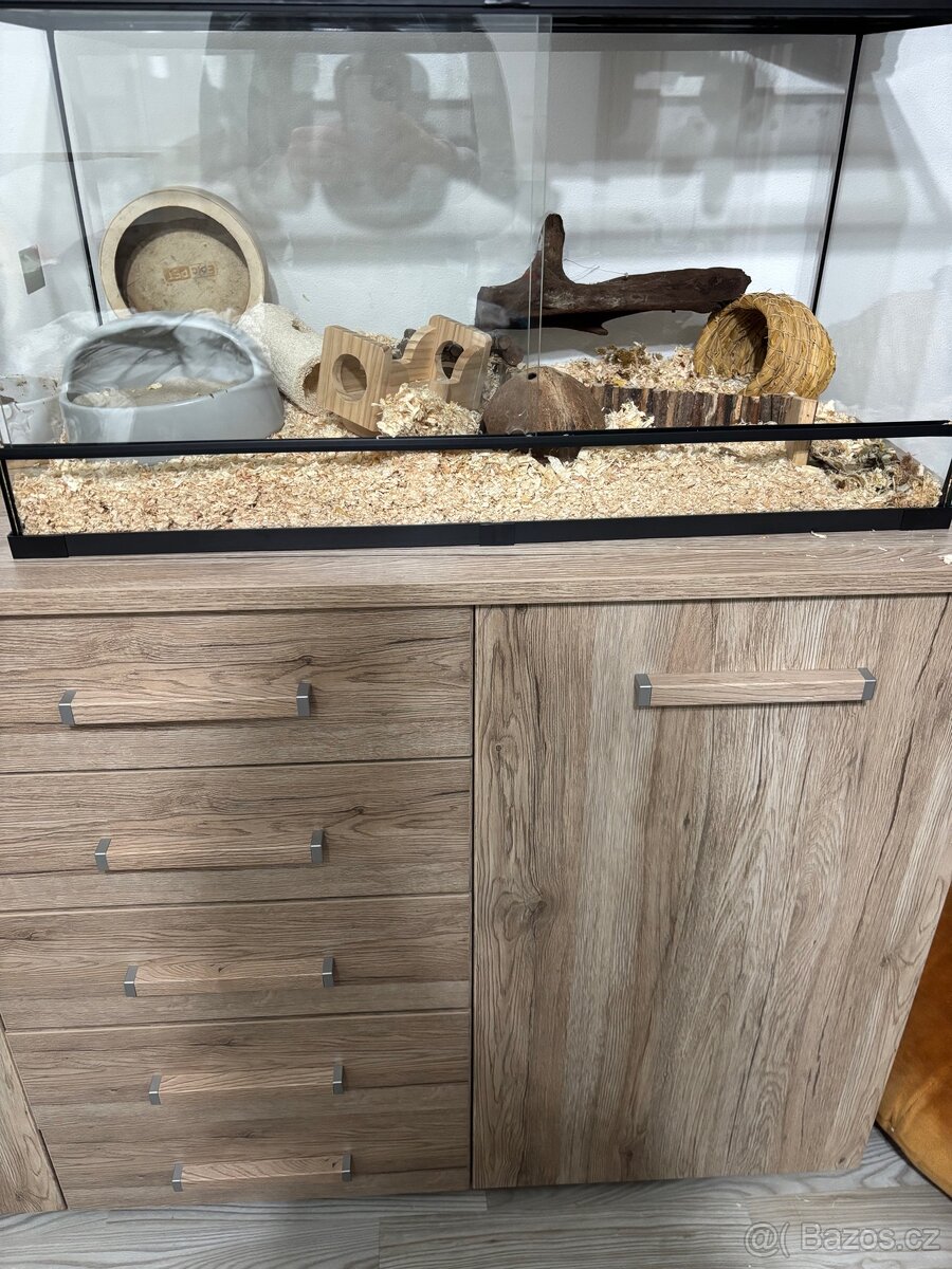 Prodám terarko pro křečka a vybavením