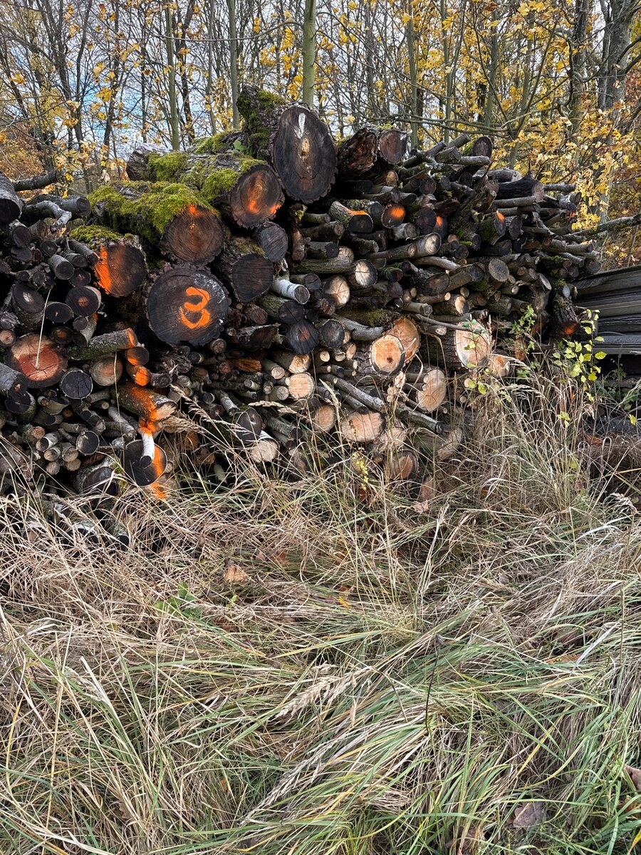 Palivová kulatina, vrba bříza jíva- mix