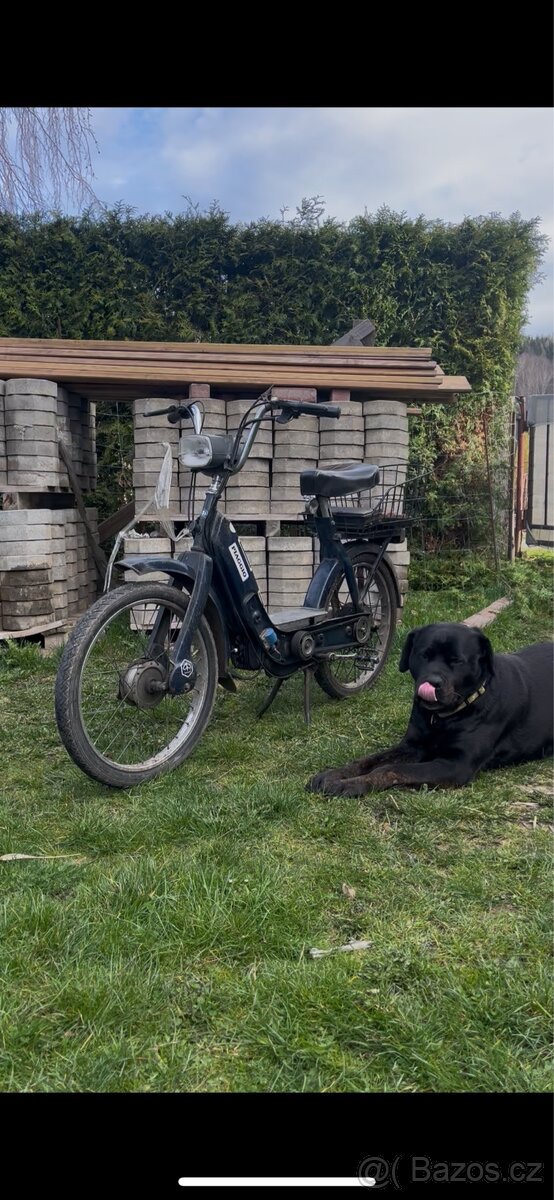 Piaggio ciao