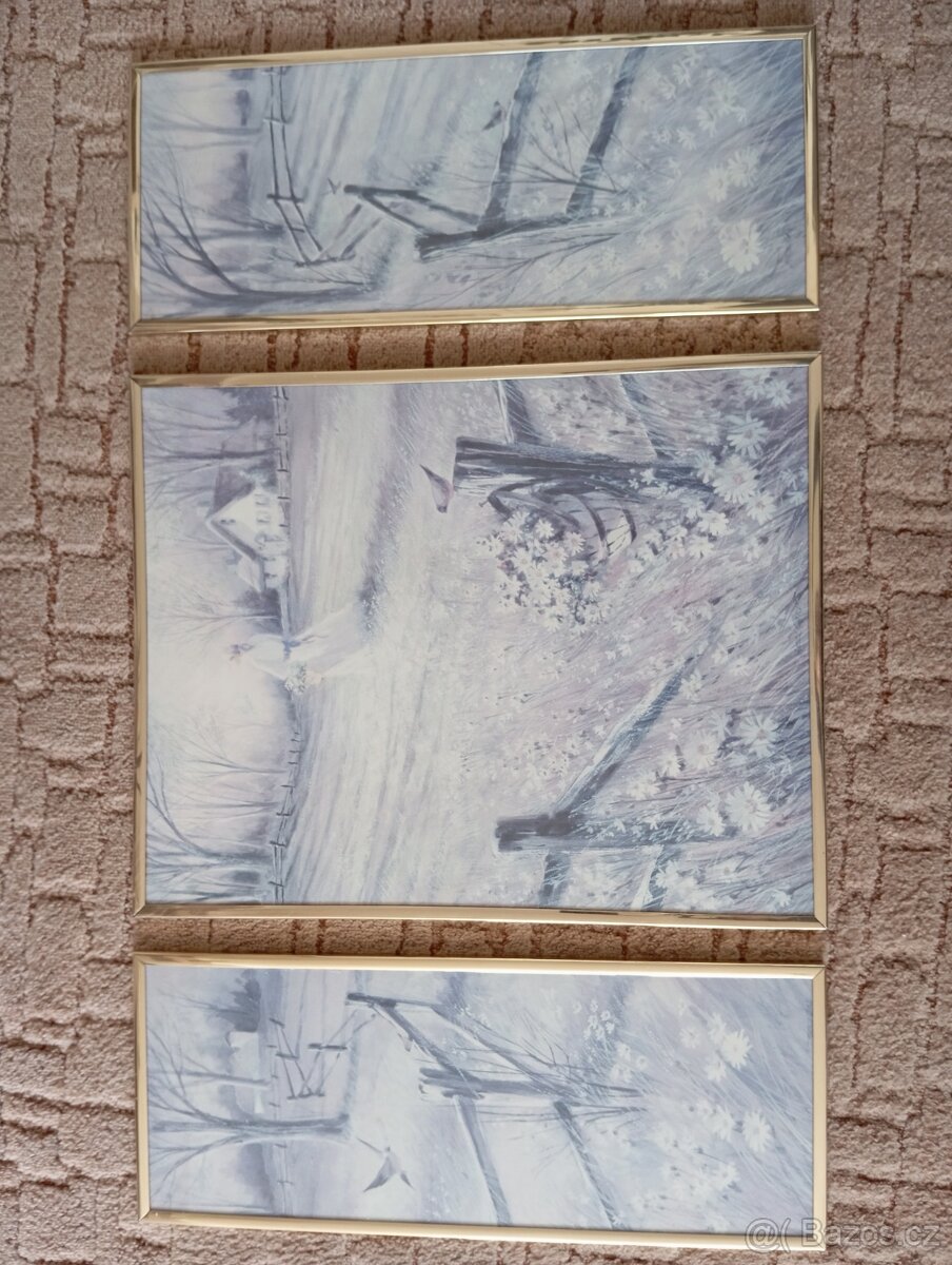 OBRAZ 3 kusy