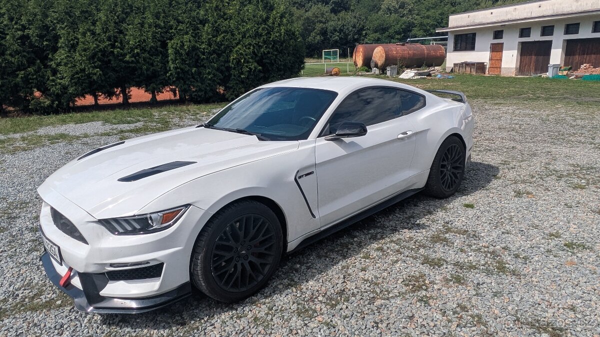 Ford Mustang GT 5.0 V8 - Shelby packet