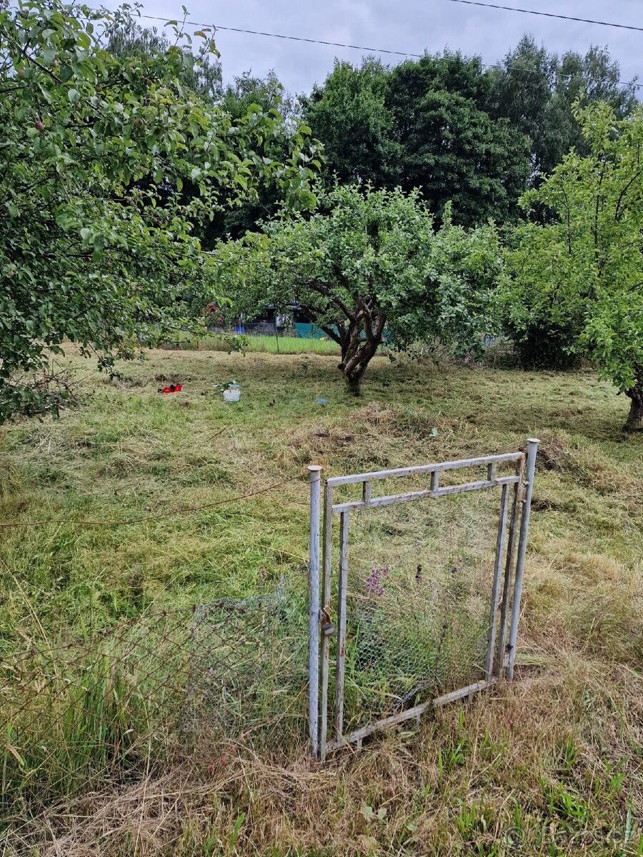 Prodam zahradu v kolonii Bazantnice v Marianskych Laznich