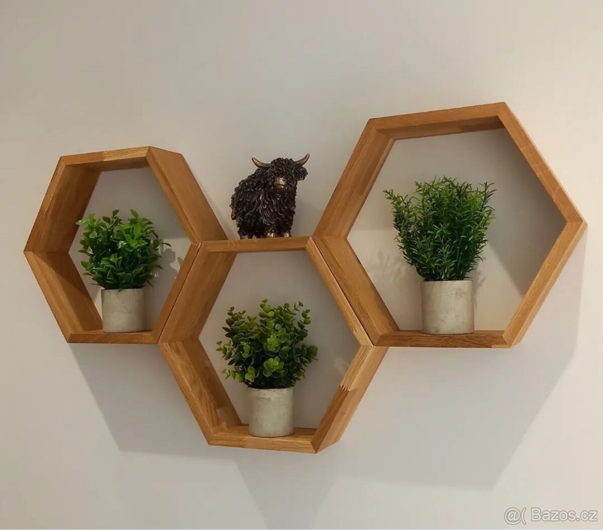 Dubová police včelí plástev