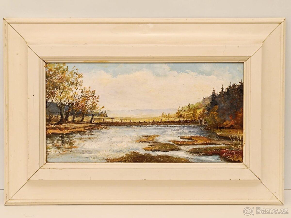 Obraz Joža, Šumava rašeliniště, olej 28x41