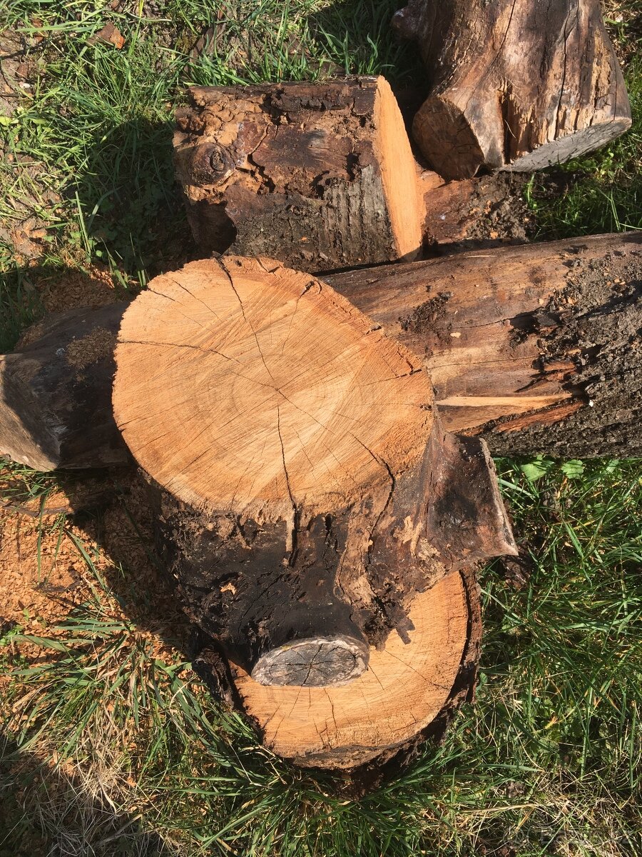 dřevo na uzení