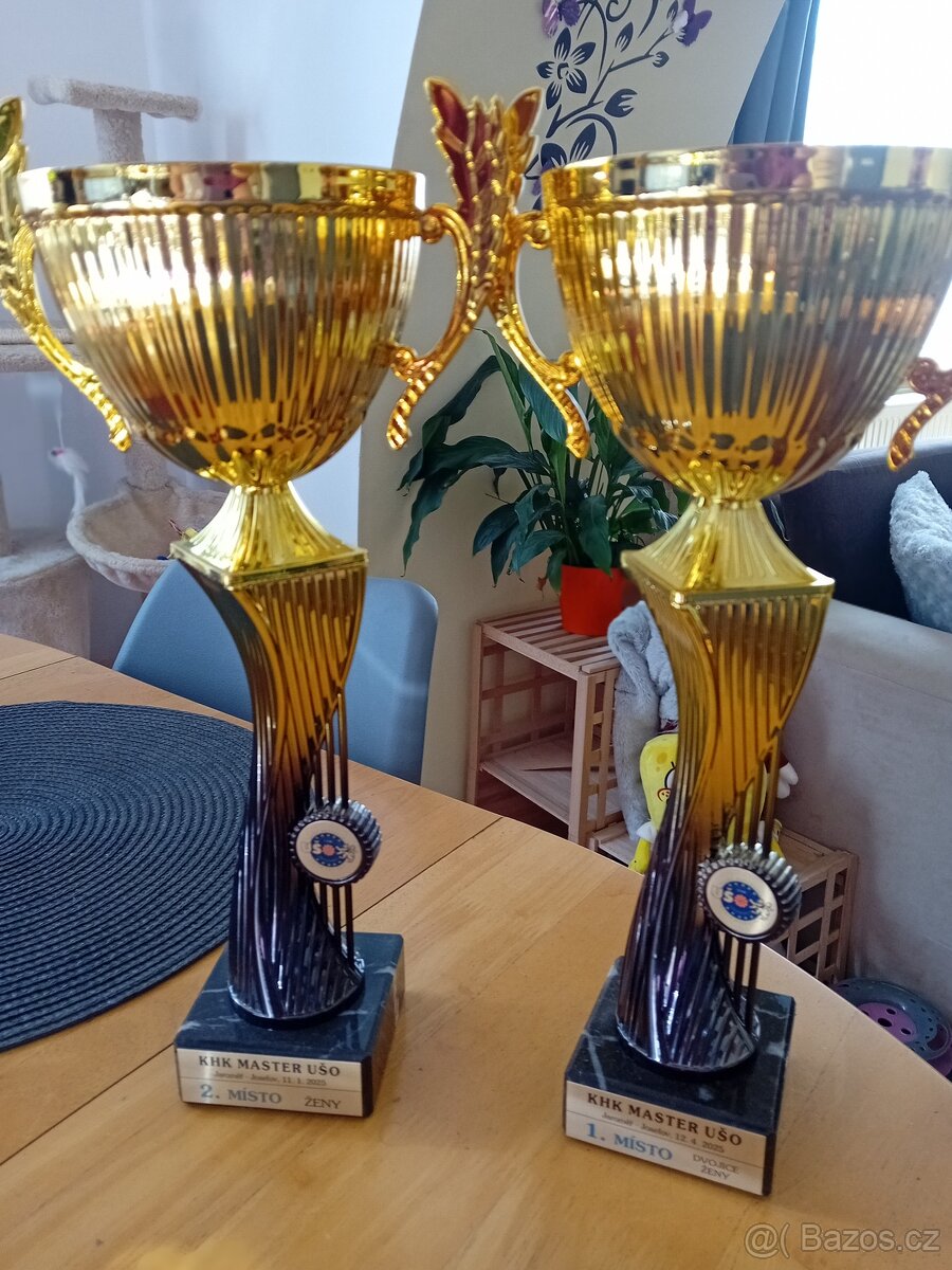 Trofeje -Poháry