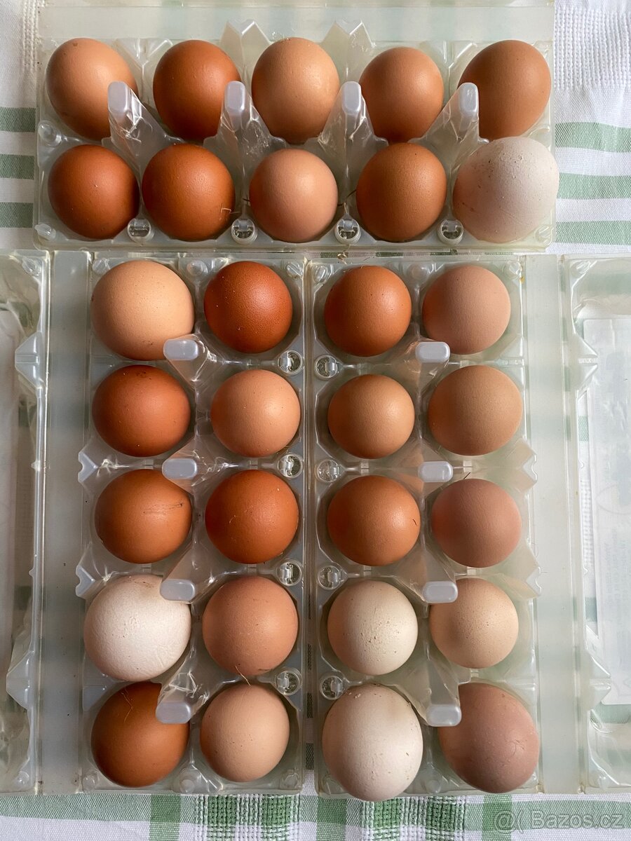 Domácí vajíčka (Žďár)