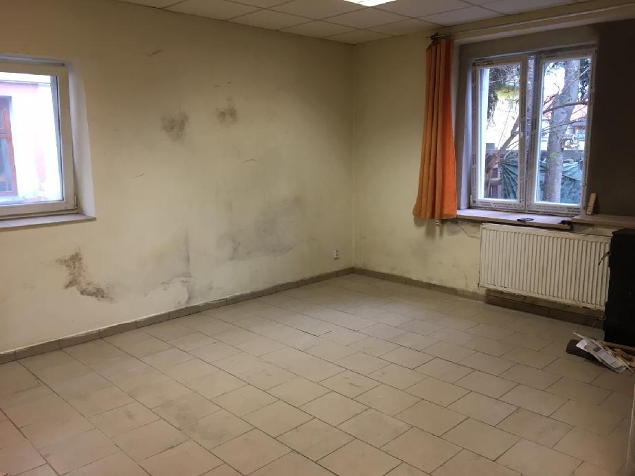 pronajmu 1+1+koupelna+dvorek Městec Králové