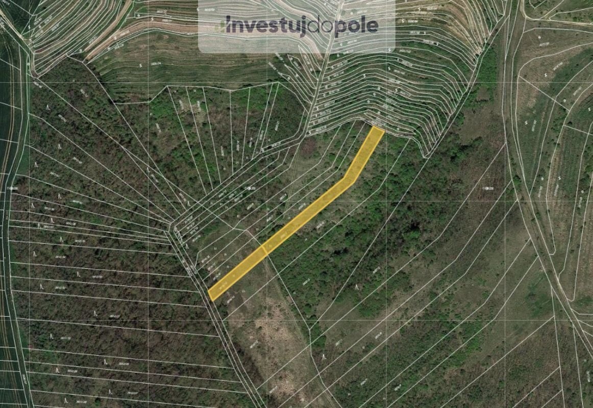 Prodej pole 1 770 m², Hustopeče, ev.č. 2025-06-12-3