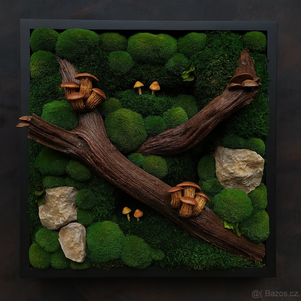 Mechový obraz / obraz ze stabilizovaného mechu