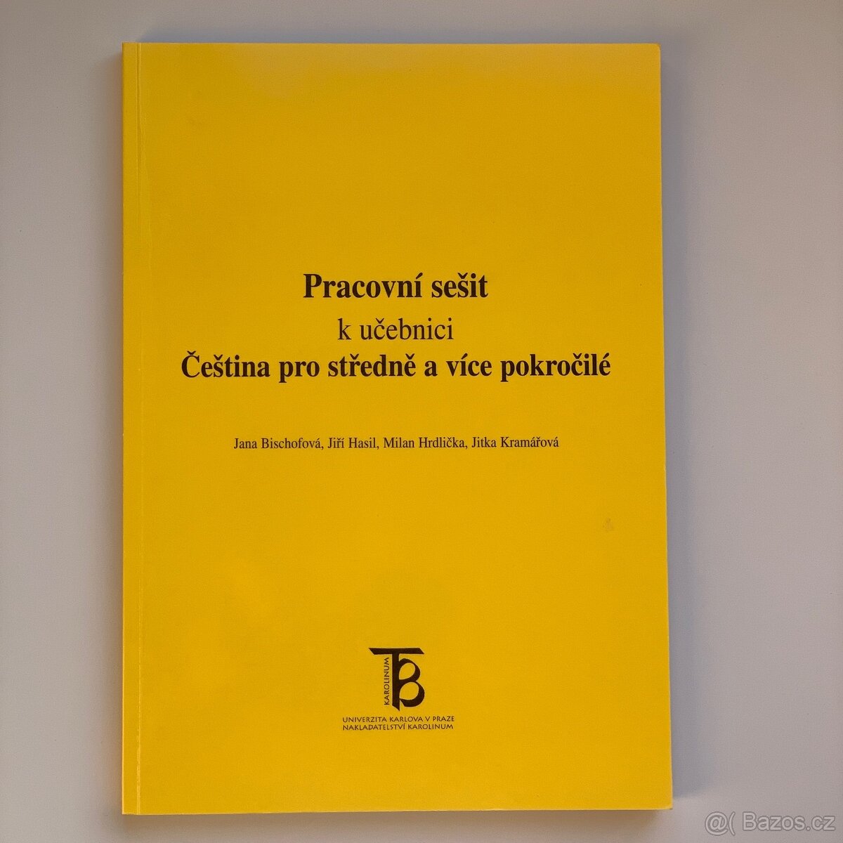 Čeština pro středně a více pokročilé, Pracovní sešit