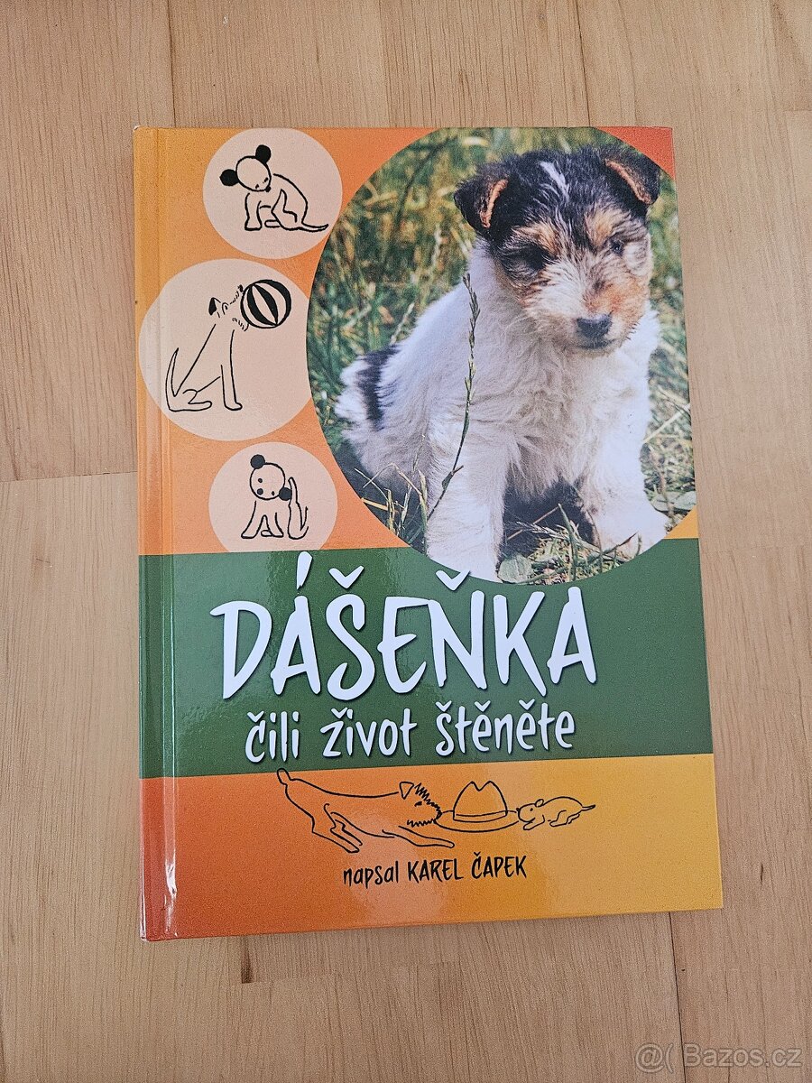 Dášeňka čili život štěněte