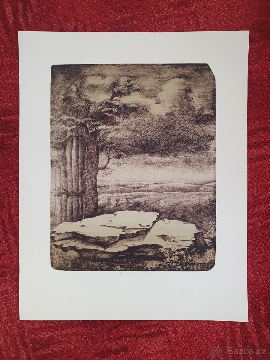 Litografie č11