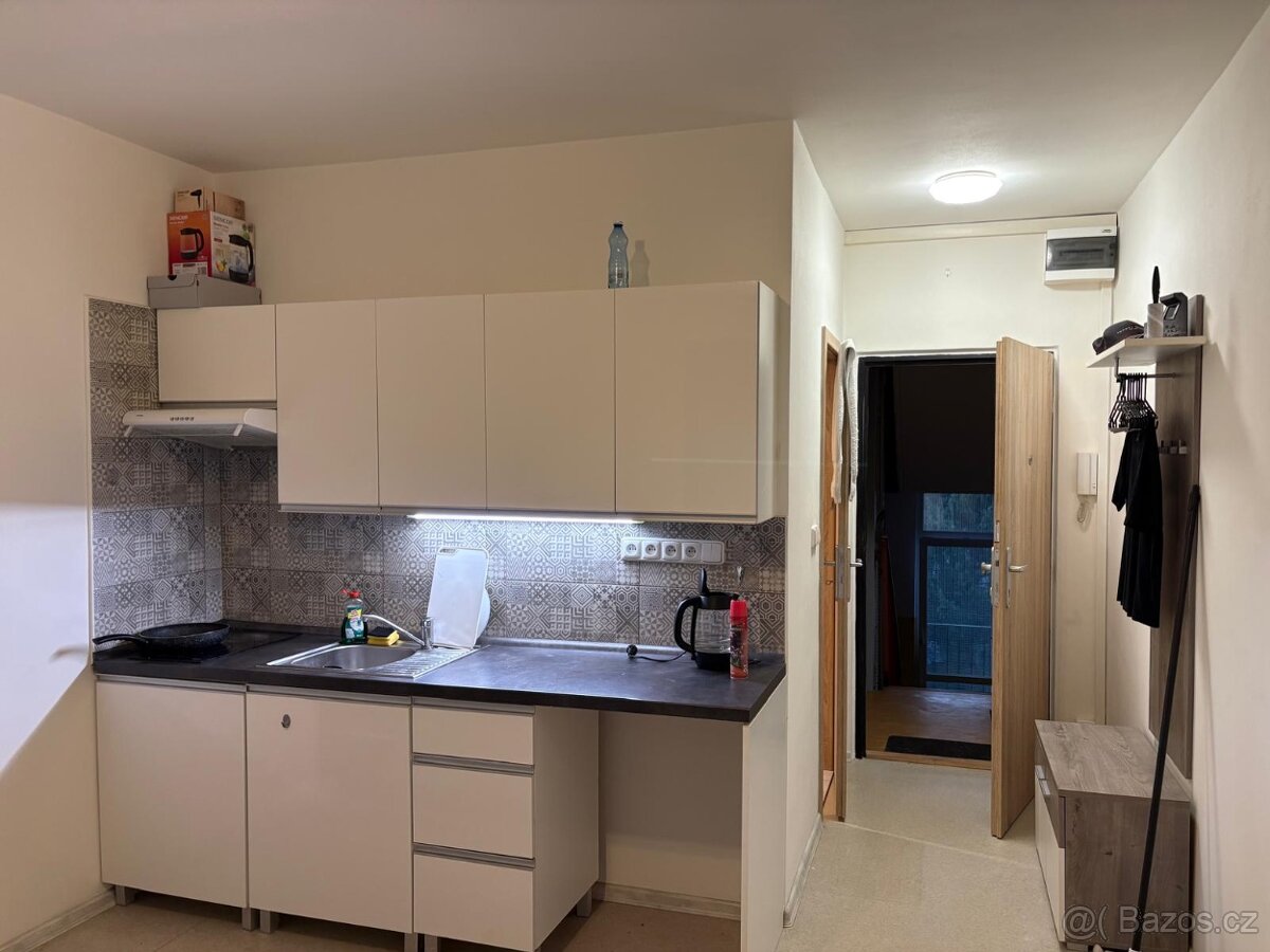 Garsonka 21m2 Usti SNP