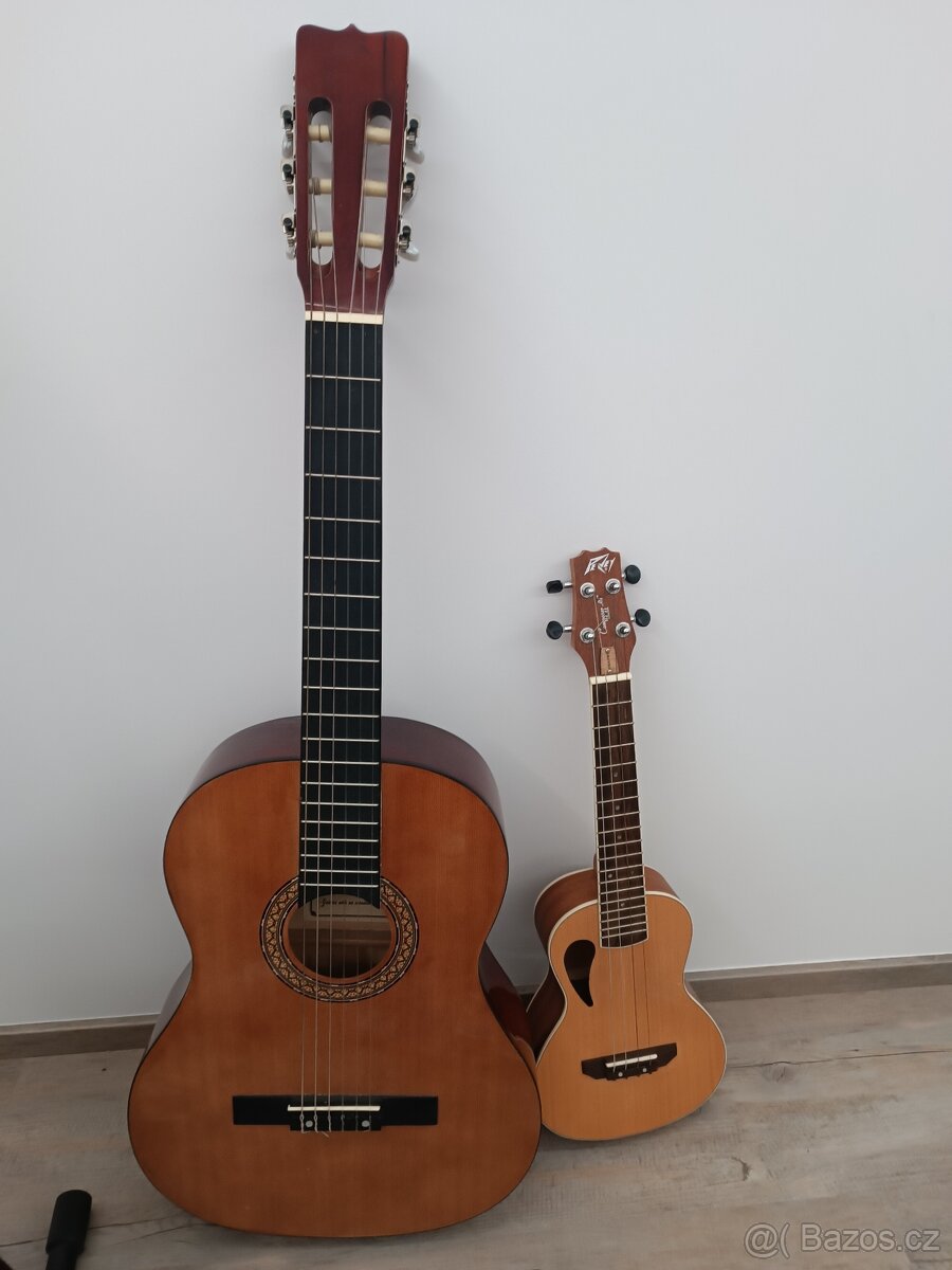 Prodám, kytara a ukulele