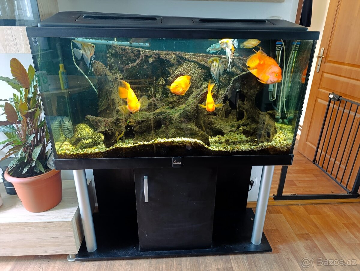 Akvarijní set