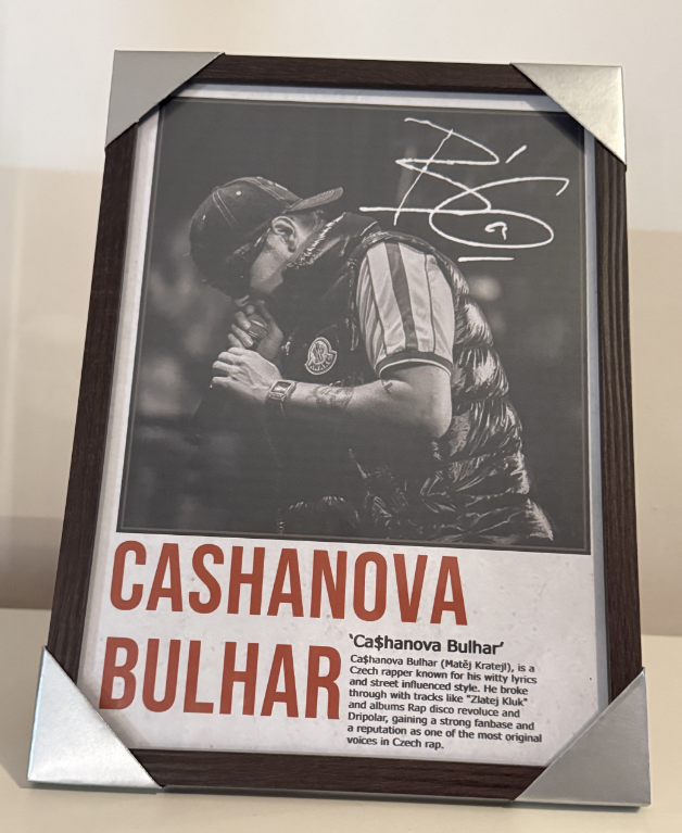 Obraz - Cashanova Bulhar - Vánoční AKCE🎄