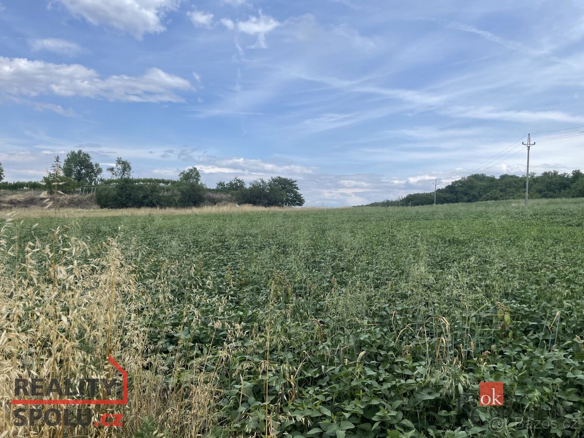 Prodej, pozemky/bydlení, 788 m2, Hustopeče, Břeclav [ID 7392