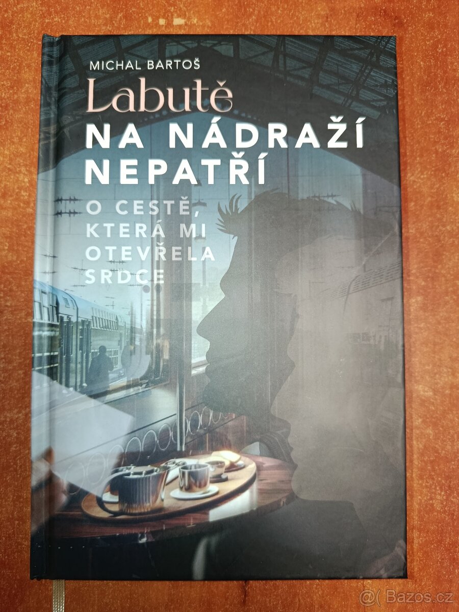 LABUTĚ NA NÁDRAŽÍ NEPATŘÍ