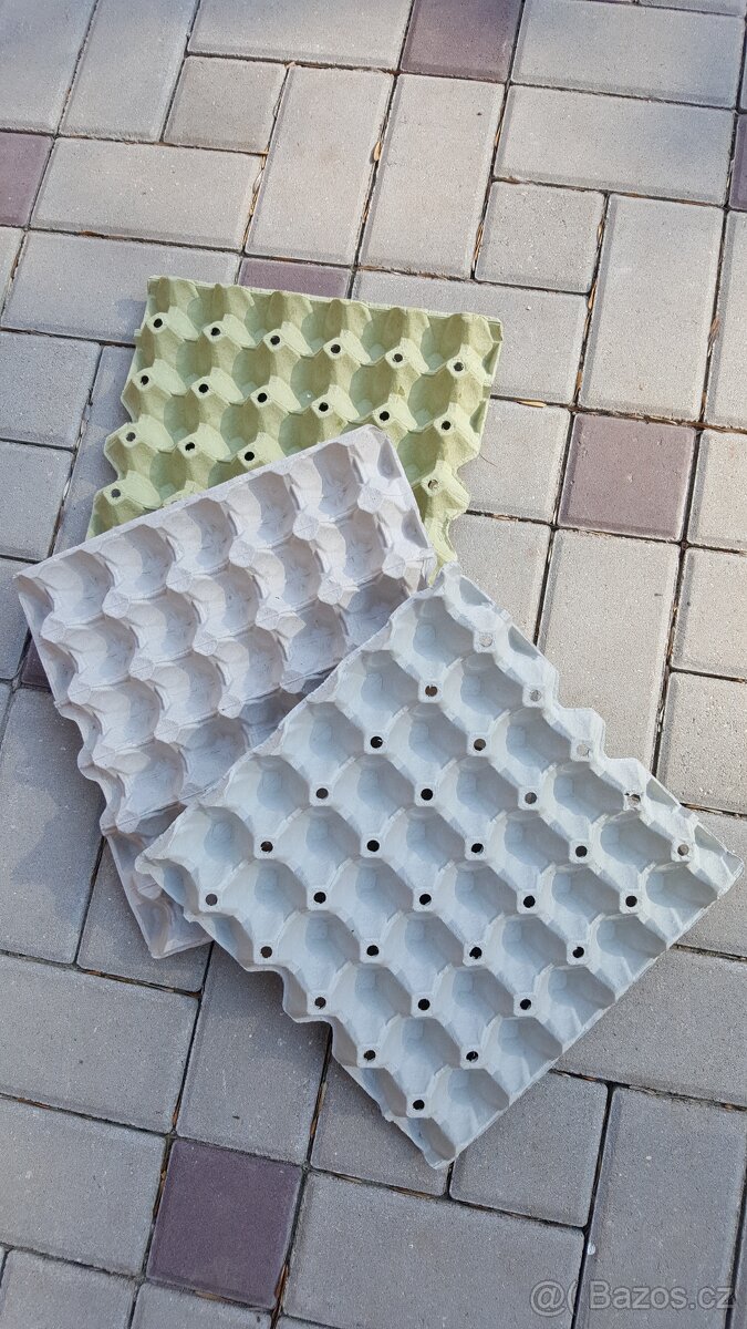 Plata na vejce