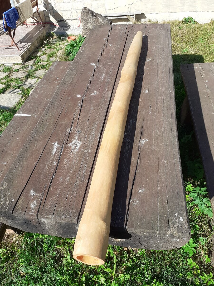 Didgeridoo 088