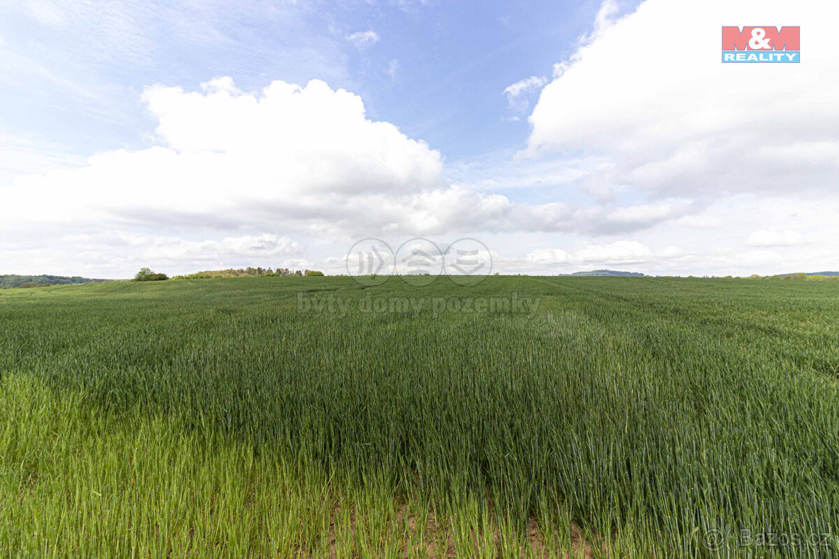 Prodej pole, 10902 m², Miskovice