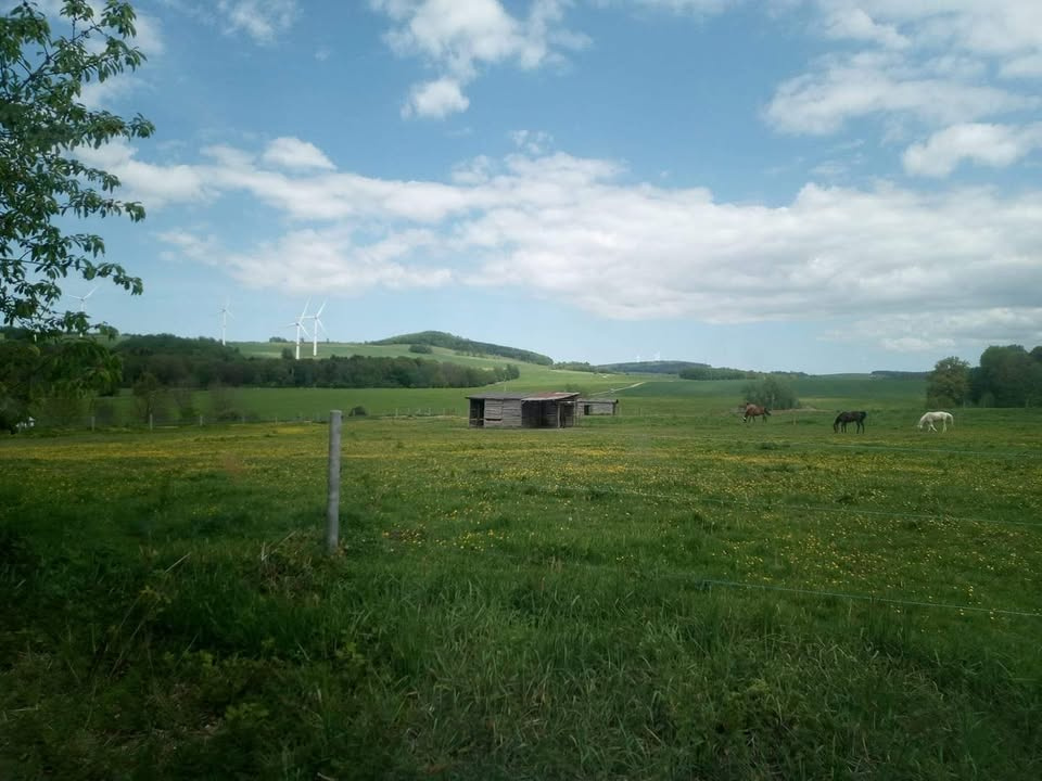 Stavební parcely s územní studií
