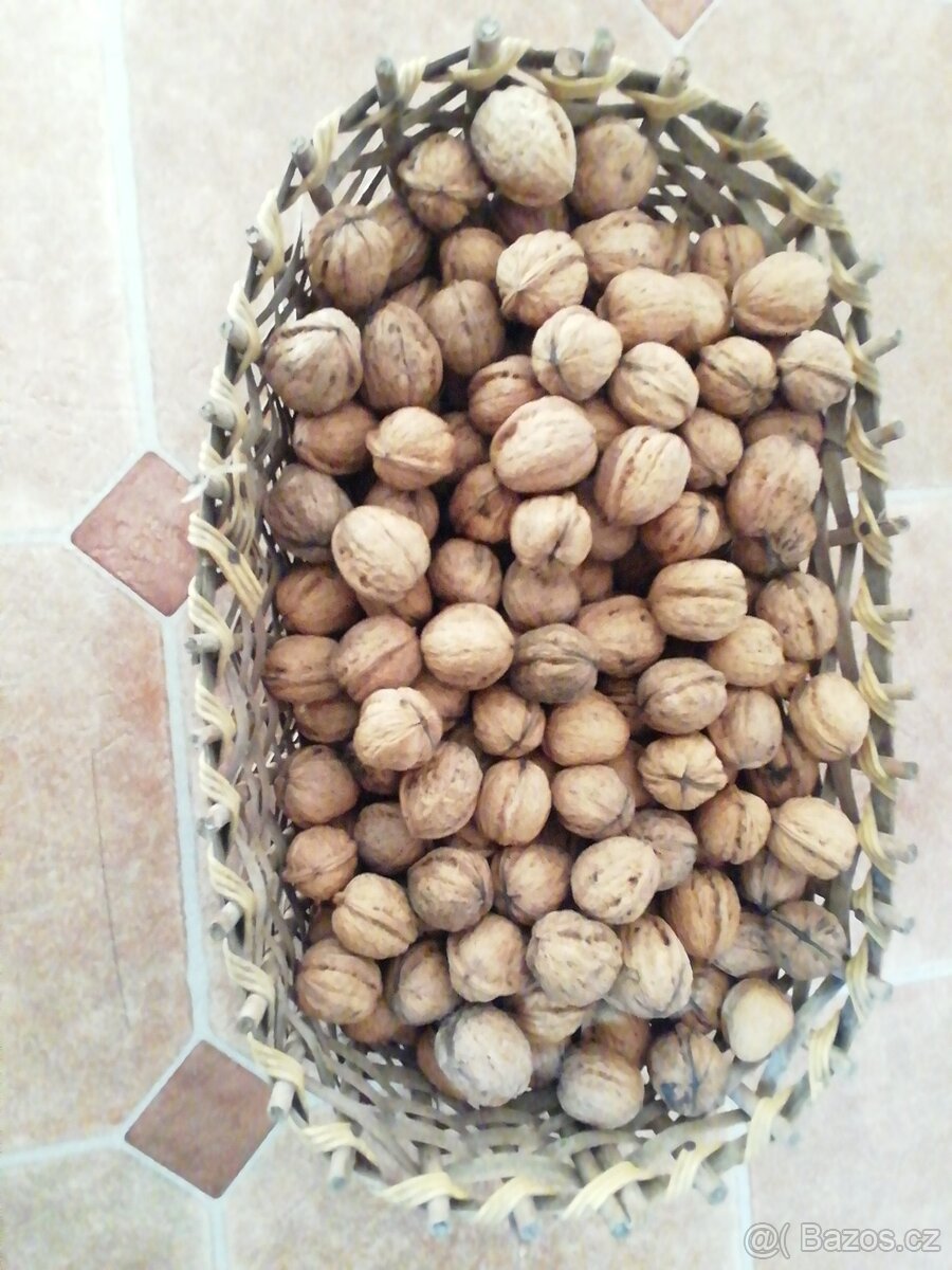 Prodám vlašské ořechy