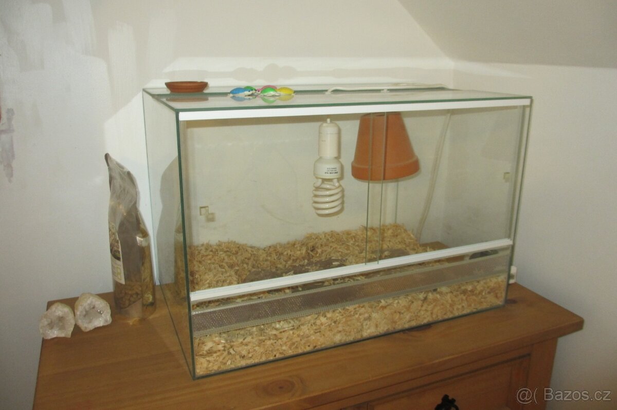 Terarium