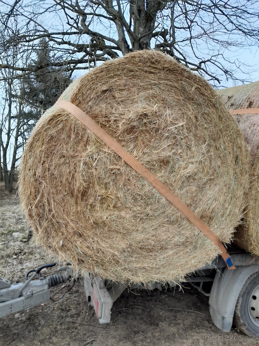 Seno z Vysočiny s dopravou