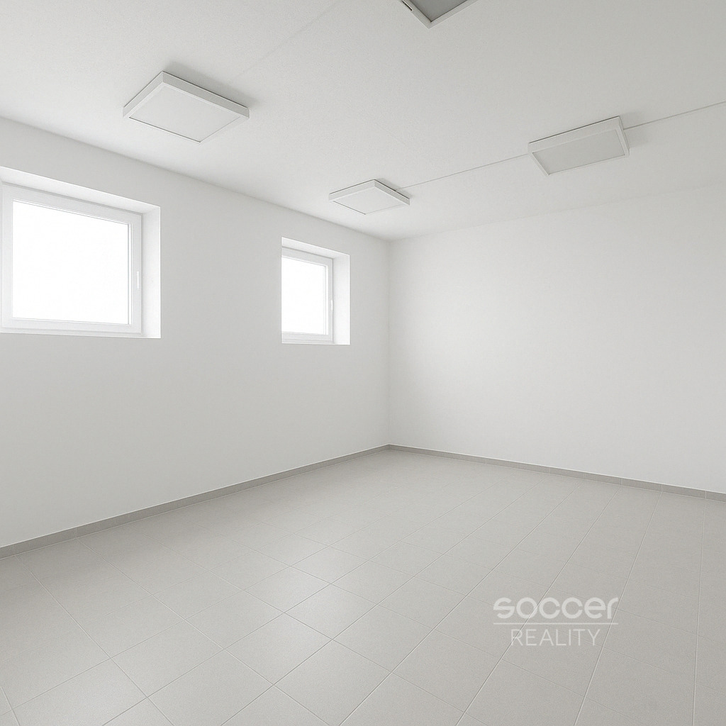 Pronájem skladu 27 m², Praha 6 – Dejvice, ul. Paťanka.