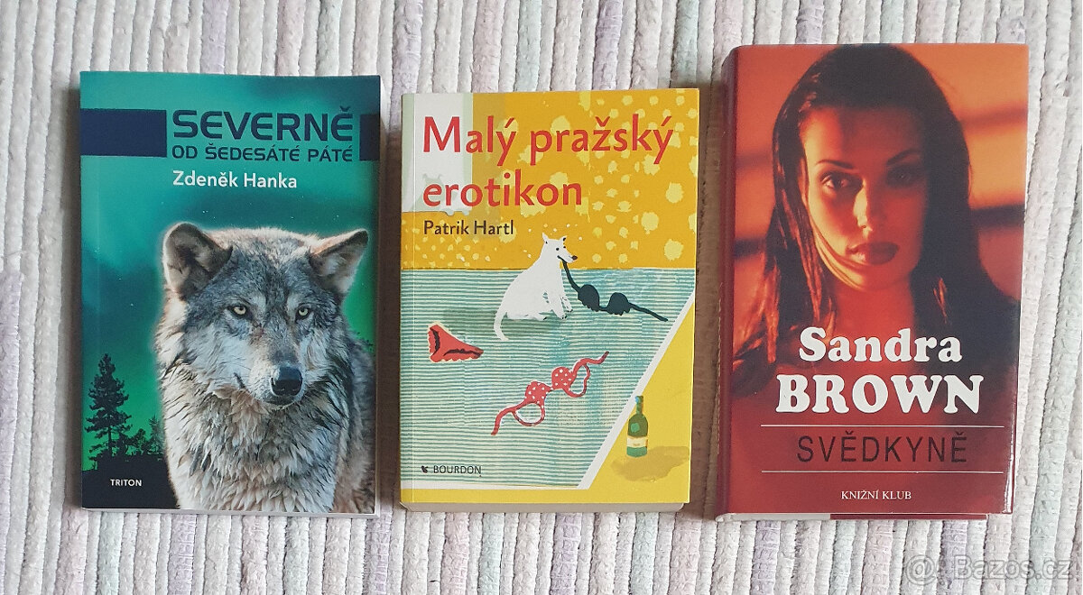 Svědkyně, Severně od šedesáté páté cena celkem 120 Kč