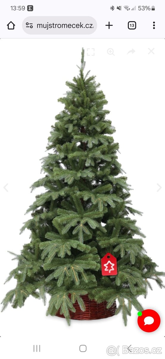 Jedle Přírodní 180