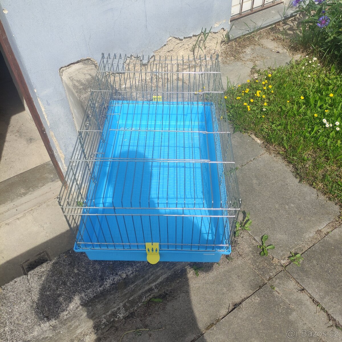 Klec morče kralik