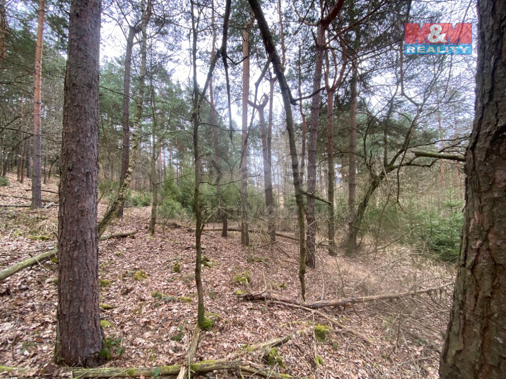 Prodej lesa, 2768 m², Miloňovice