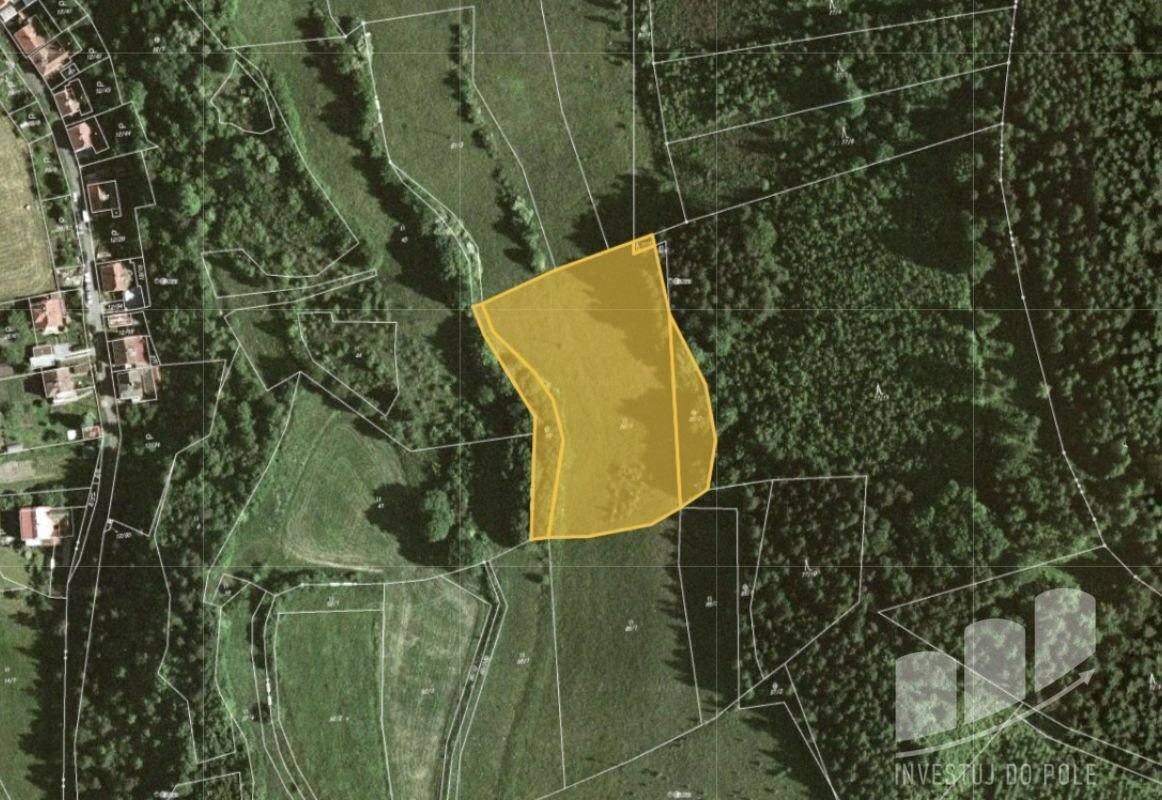 Prodej louky 7 060 m², Stvolová - Skřib, ev.č. 2025-01-13-1