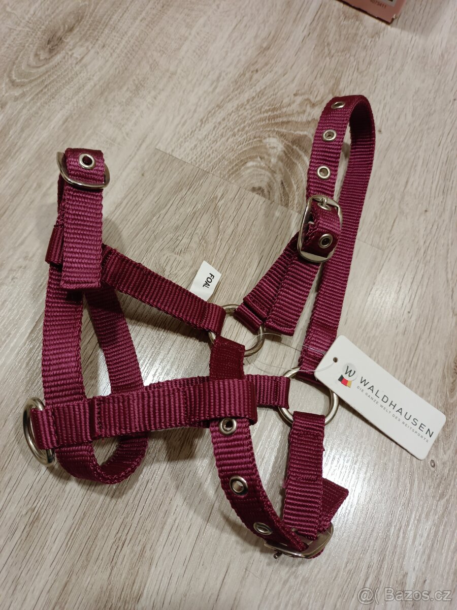 Nová ohlávka pro hříbě, vínová