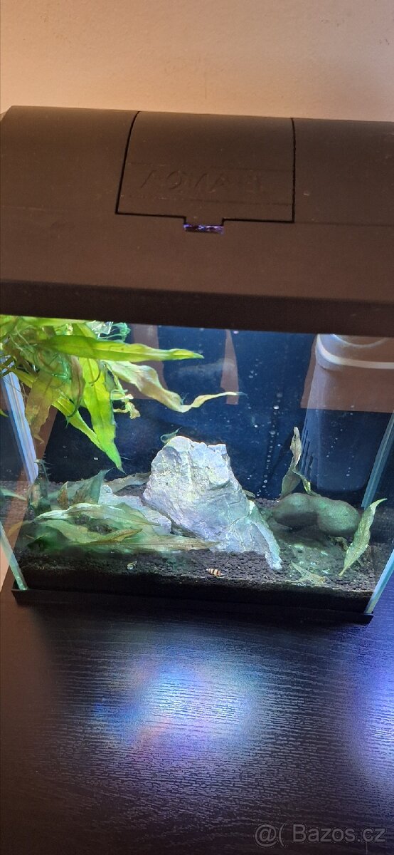 Akvarium aquael