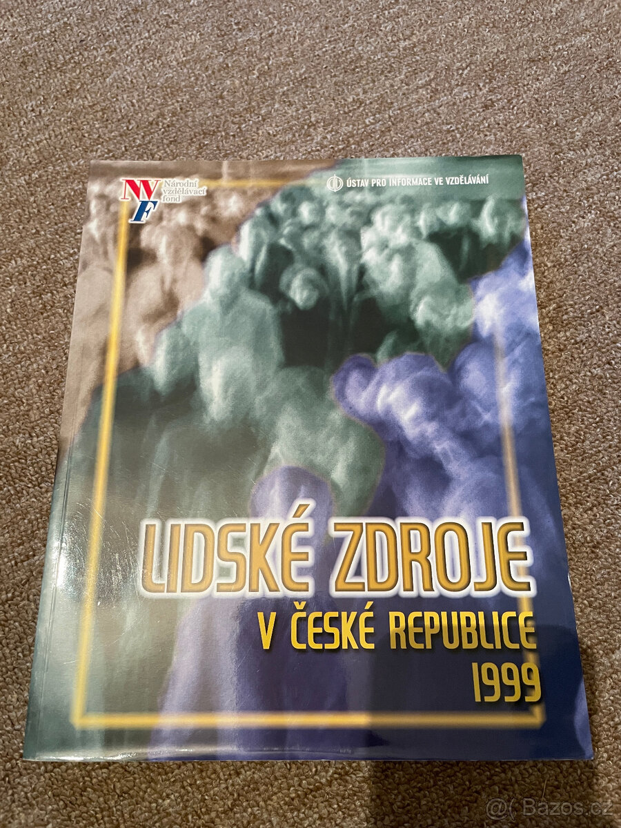 Lidské zdroje v České republice 1999
