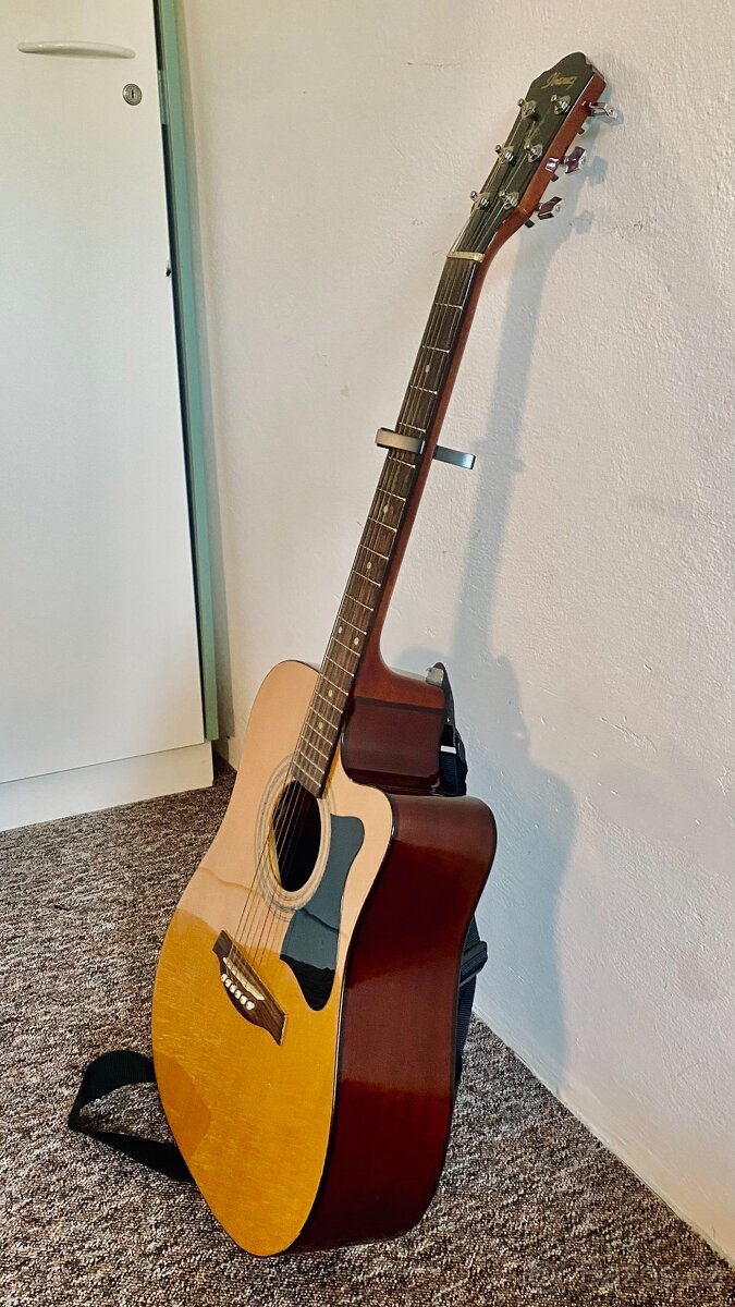 Ibanez V205SECE-NT