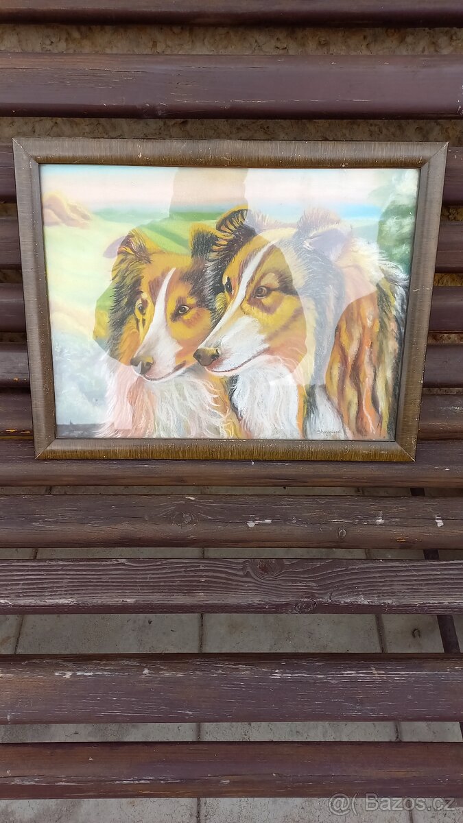 obrazové rámy - cenu nabídněte