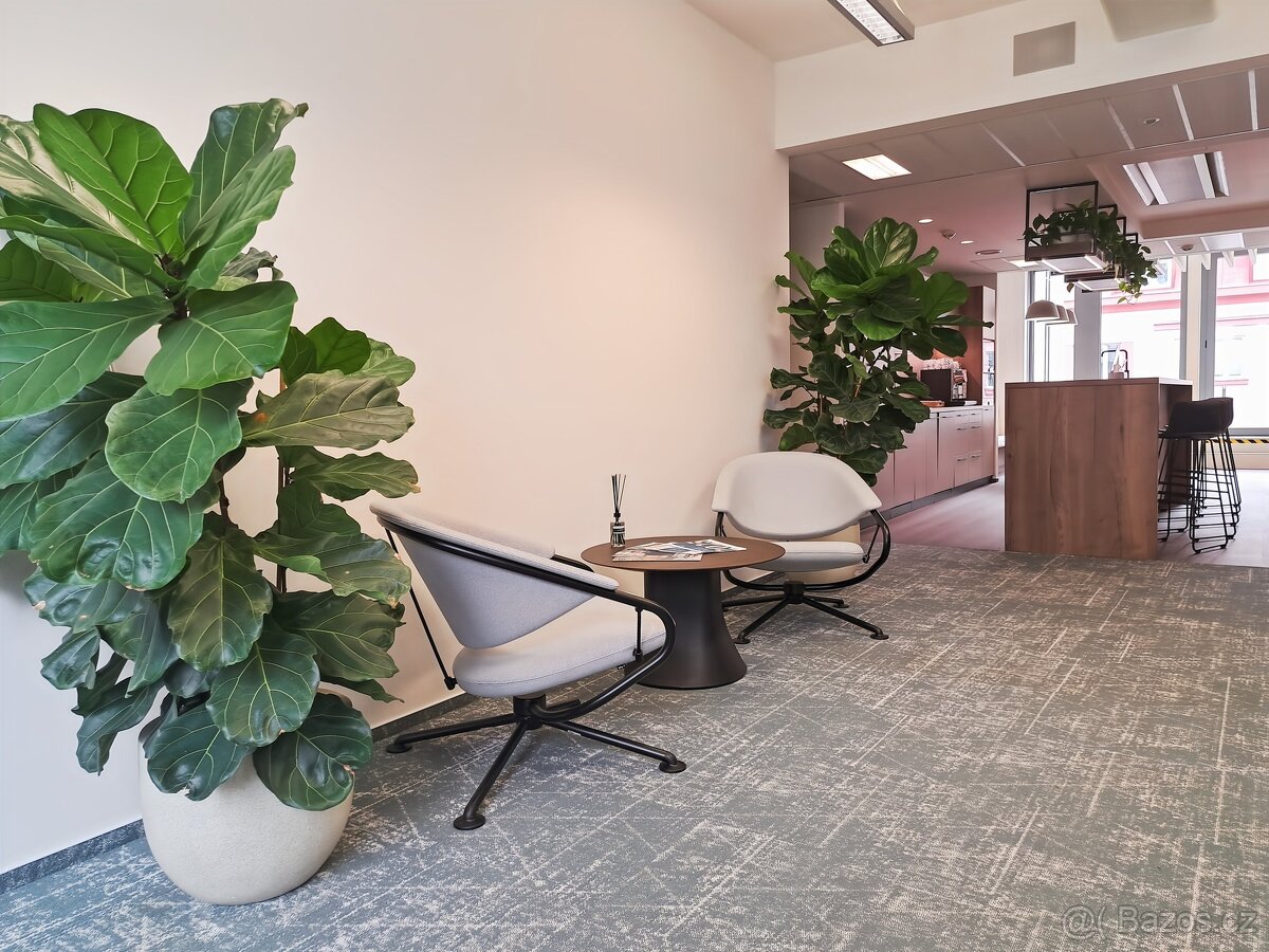 Pronájem kanceláře 110 m² v Signature OFFY, ev.č. CZop18545